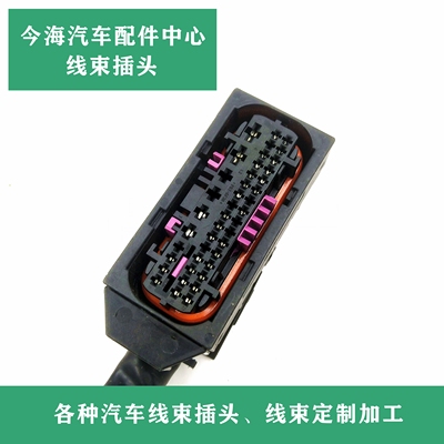大众奥迪Q3Q5Q7A6LA4A3途锐途观帕萨特ABS泵插头刹车泵插头