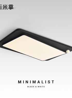 米拿 意式极简吸顶灯客厅主灯LED大气创意黑色高级护眼主卧房间灯