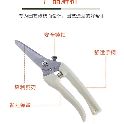 园艺剪刀修枝剪园林花园果木树枝修枝剪家用省力花剪神器园艺剪刀