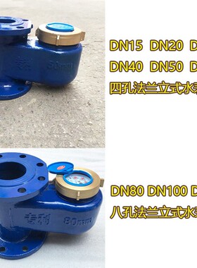 宁波DN50立式法兰水表竖式冷热水表 65 80 100mm 2寸 4寸数字工业