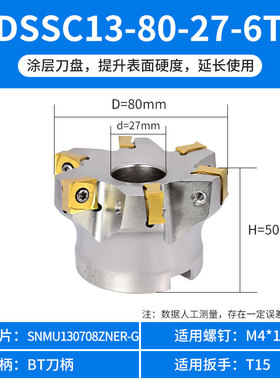 88快进给铣刀盘DSSC重切削平面飞刀盘双面八角铣刀片SNMU130708