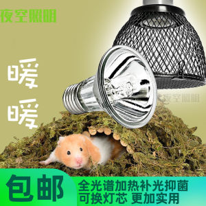 萌宠小动物E27螺口晒背灯保温灯爬虫养殖箱太阳灯繁殖箱爬宠灯具