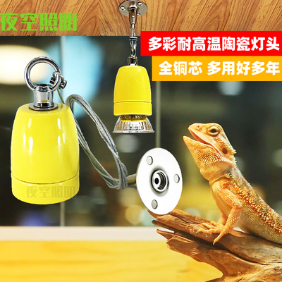 彩色陶瓷吊线灯头纯铜螺口乌龟