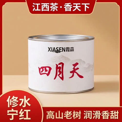 2026修水宁红茶春茶老树花果香