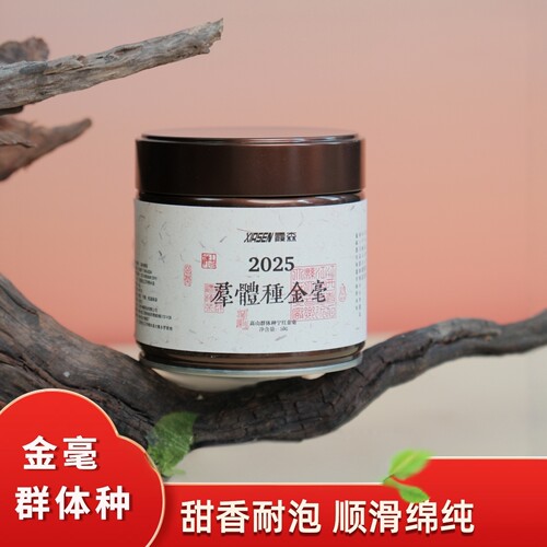 高山群体种修水宁红金豪香甜耐泡