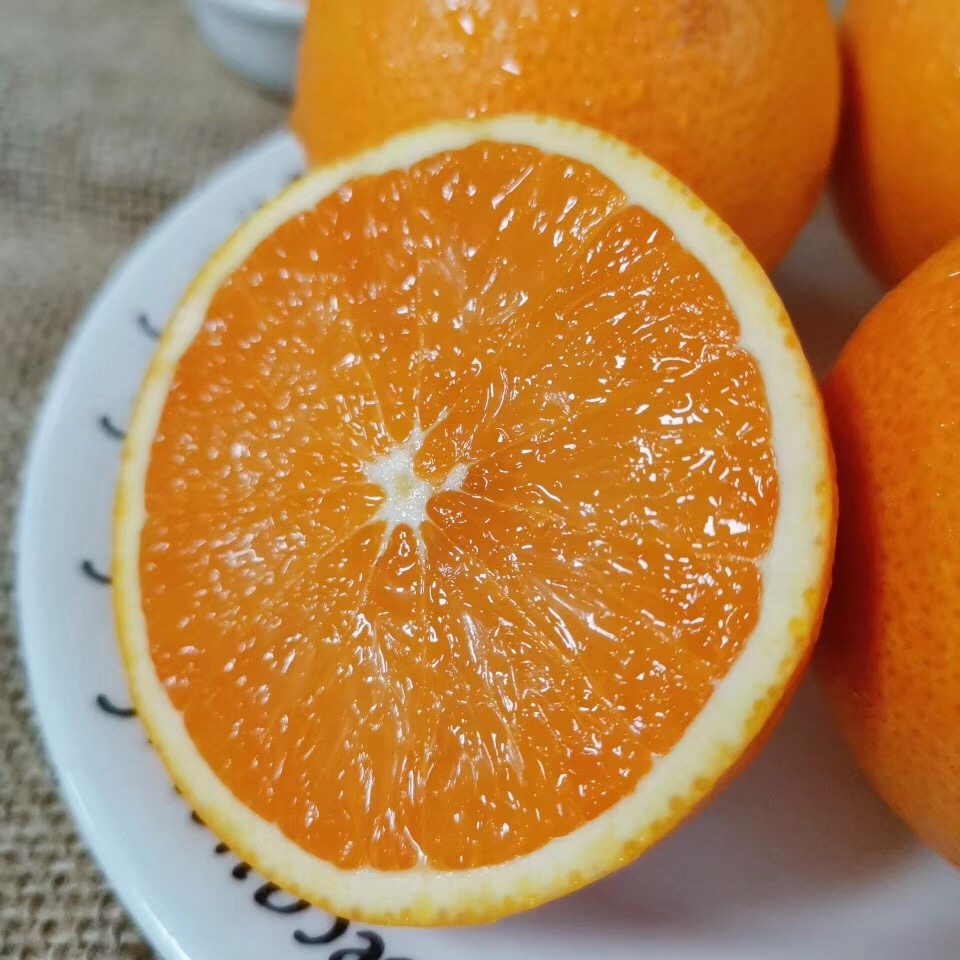 秭归脐橙九月红橙子孕妇水果新鲜现采现发整箱包邮坏果包赔甜橙,水产肉类/新鲜蔬果/熟食,橙,淘宝优惠券,粉丝福利购,淘宝优惠卷