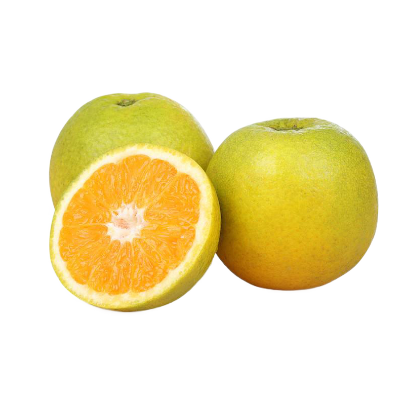秭歸臍橙新鮮夏橙應季孕婦水果酸甜多汁現(xiàn)采現(xiàn)發(fā)整箱橙子10斤包郵
