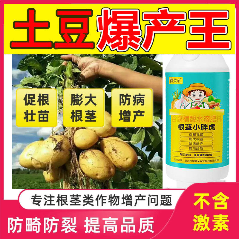 地下根茎膨大素土豆专用马铃薯块根块茎控旺剂叶面肥高产水溶肥