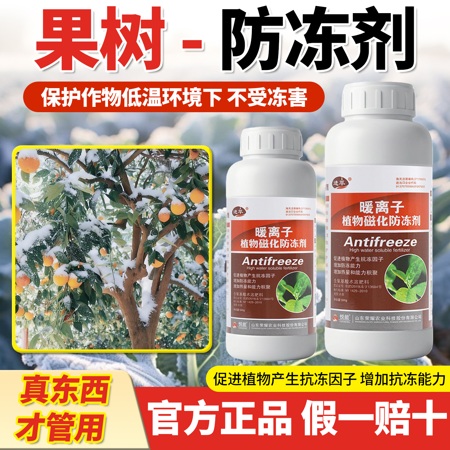 果树防冻剂植物防冻剂防寒抗冻液防冻液柑橘苹果桃树抗寒叶面肥药