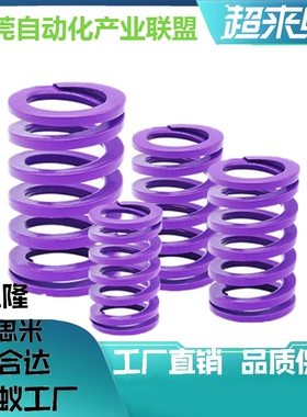 紫J-YSWC-D46-L50L60L70L80L90L100L110L125L150L200L250矩形弹簧