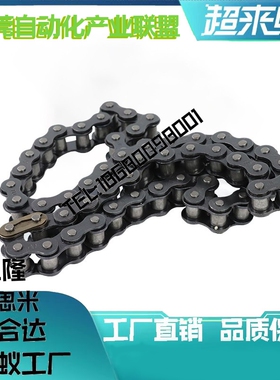 25B传动链轮 SP25B28/30/32/34/35/36/38/40 链条 CHE/CHES25-U