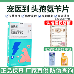 宠医到宠物头孢羟氨片猫狗皮肤感染趾间炎尿道炎泌尿感染消炎药