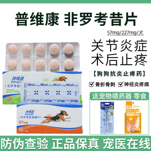 法国普维康57mg宠物犬用止痛药非罗考昔咀嚼片狗狗猫咪关节炎骨折