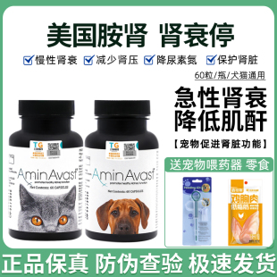 美国胺肾aminavast肾衰停狗肾脏降磷猫狗肾犬肾透活肾猫用护肾康