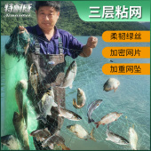 渔网粘网三层沉网捕鱼网进口丝网挂网50米加粗加重白条鲫鲤草鱼网