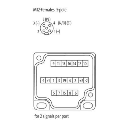 8000-88549-0000000 MURR连接盖4-, 6- 及8路分线盒5芯可插拔端子