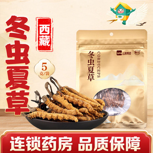 慧远天宝冬虫夏草5克/袋