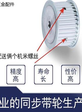 同步带轮HTPA60S3M100-A-P6/8 HTPA60S3M100-A-N10/12 /14替代