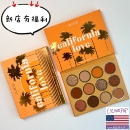 love加州挚爱 美版 colorpop少女眼影盘california 清仓colourpop