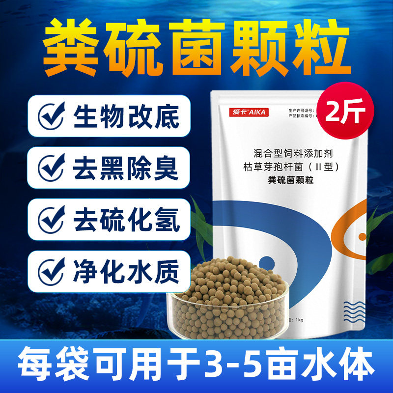 粪硫菌颗粒水产养殖专用硫化氢氧化菌硫细菌底改王生物底改除臭