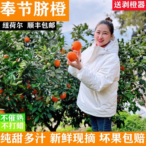 顺丰包邮重庆奉节脐橙新鲜橙子精选大果应季水果10斤整箱多汁20斤