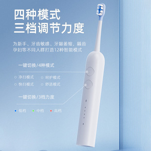 牙刷 扫振一体电动牙刷成人学生软毛刷家用智能清洁牙齿充电款