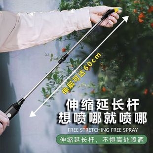 电动喷雾器园艺用品懒人浇花浇水小型锂电家用喷壶自动浇花器