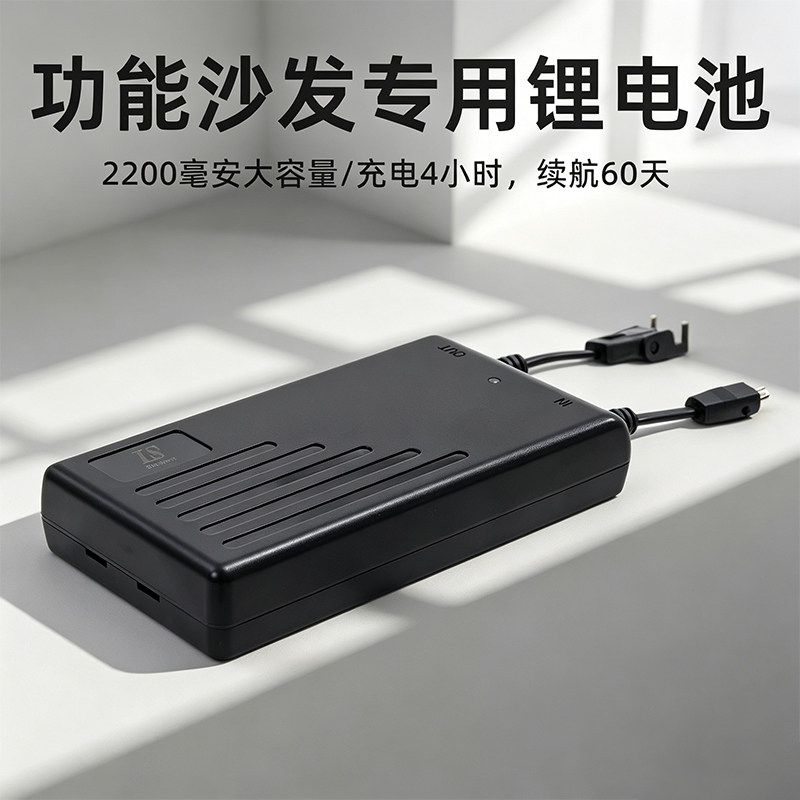 路易丹尼电动沙发蓄电池图片