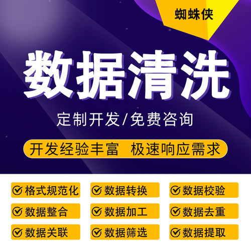 数据清洗服务去重格式化数据提取整理脏数据处理批量数据加工校验