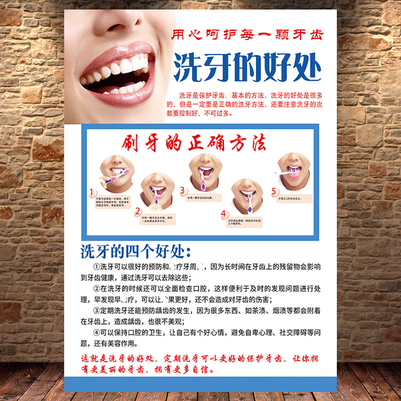 新科知识口腔修复牙齿解剖图海报诊所宣传画二氧化u锆全瓷牙装饰