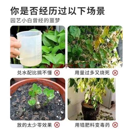 幸福树专用肥料家用室内养花肥料盆栽花肥通用型绿植免稀释营养液