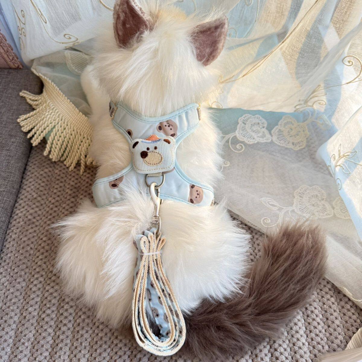 猫咪牵引绳背心挣脱外出