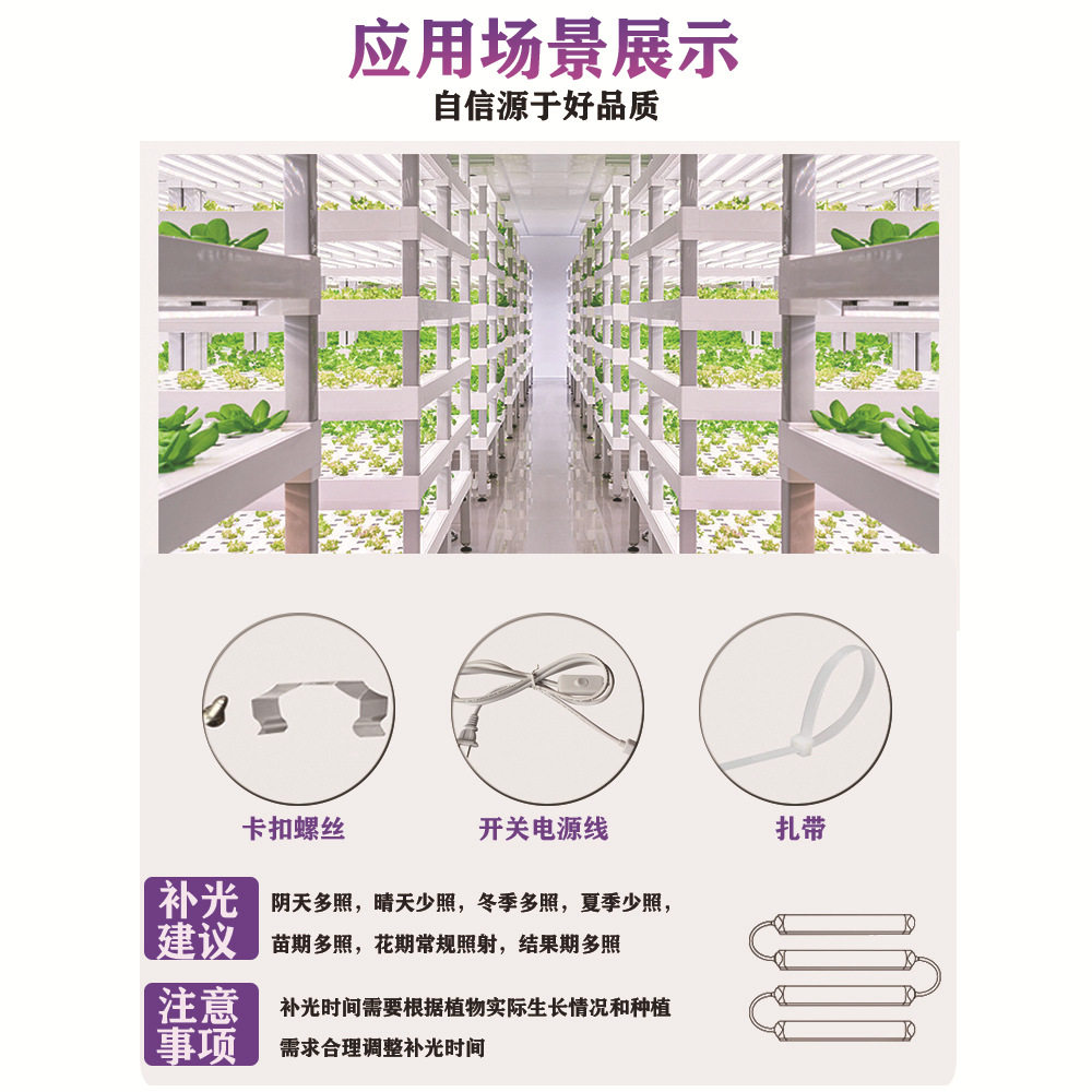 大棚30W绿植led花卉植物