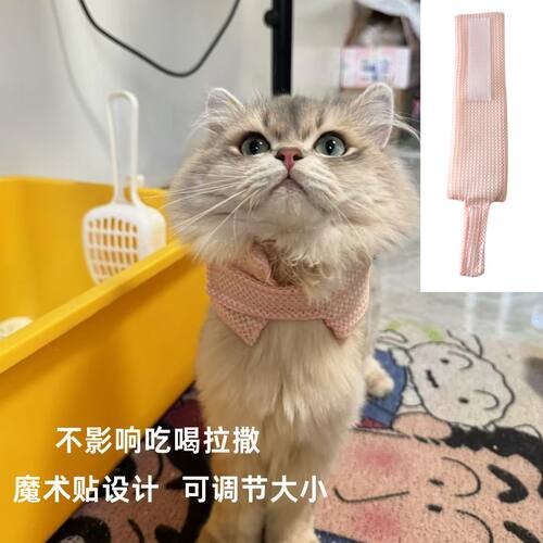 宠物脖子套防抓咬狗狗猫