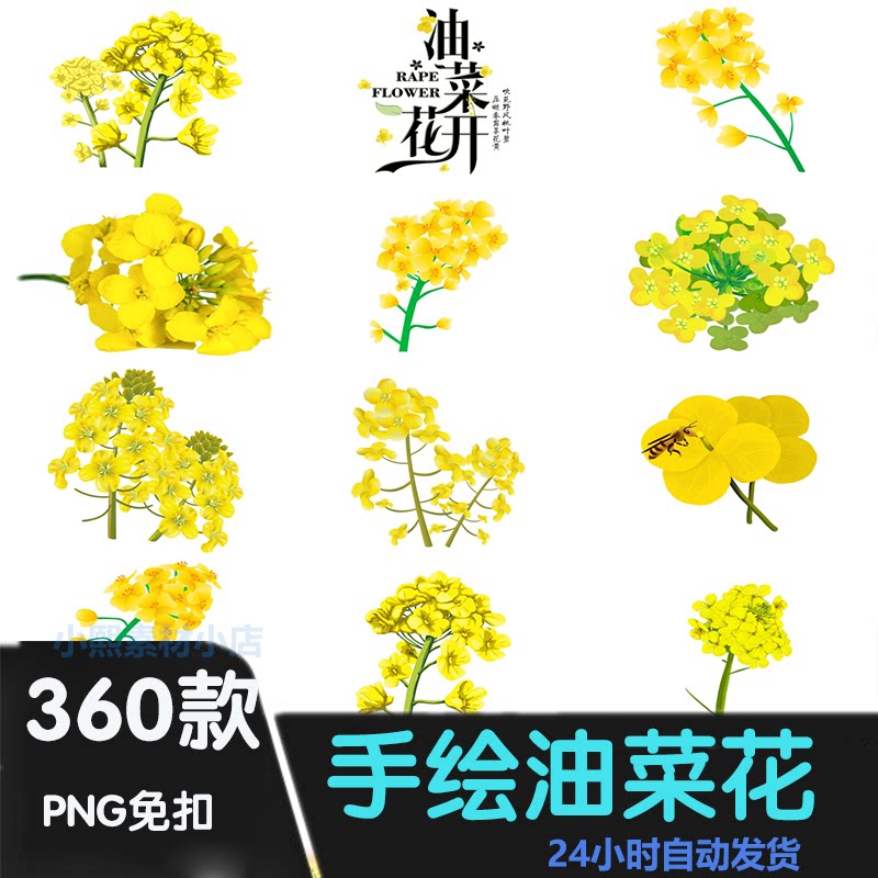 p235卡通手绘春天油菜花朵花卉海报插画背景png免抠设计素材