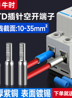 C45空开插针鸭嘴铜鼻子插片子DTD-10/16/25/35平方接线端子压接头