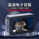 全彩4k高倍高清电子目镜单双筒天文观鸟镜通用微光夜视望远镜拍照