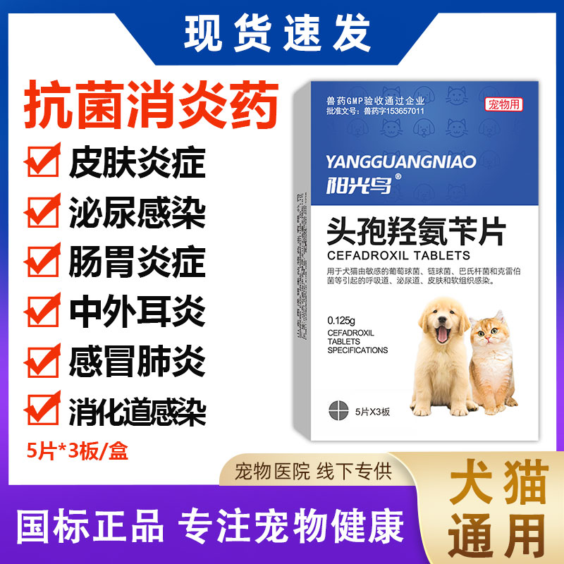 阳光鸟头孢消炎药特惠中