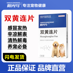 阳光鸟宠物猫咪狗狗感冒药打喷嚏流鼻涕咳嗽干呕清热解毒双黄连片