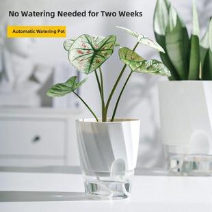 Plant automatic water absorbing flowerpot plastic pot