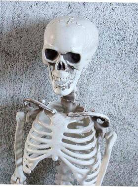 Halloween decorations Skull skeleton property horror万圣骷髅