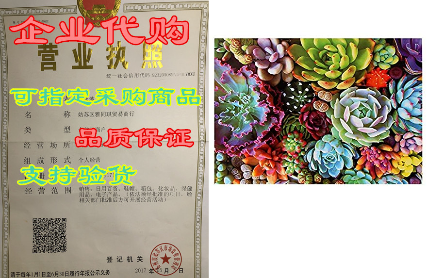 succulents plants 1000 piece puzzles for adults, teens, a