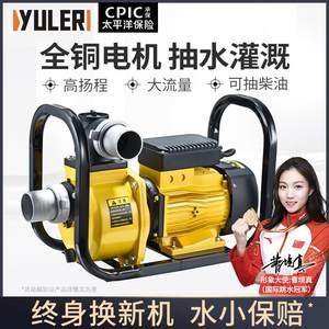 渝乐大流量自吸泵220v抽水泵家用农用灌溉泵380v高扬程静音抽水机