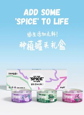 【生日礼物】PAP厨房香料种植罐紫苏罗勒藿香盆栽绿植实用好养