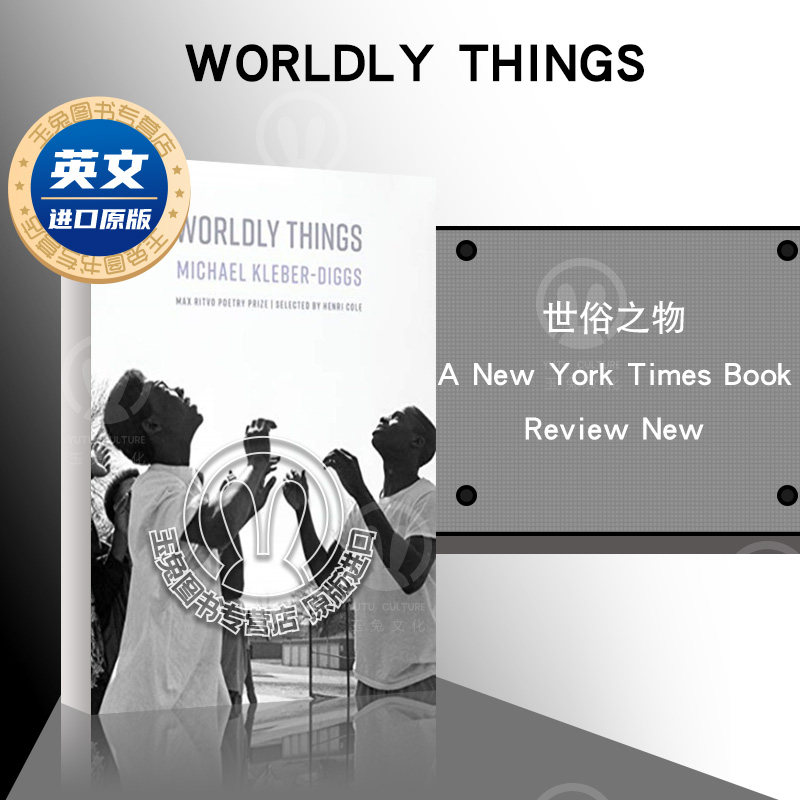 现货包邮 Worldly Things 世俗之物 精装  Michael Kleber-Diggs 小说  英文原版进口书籍