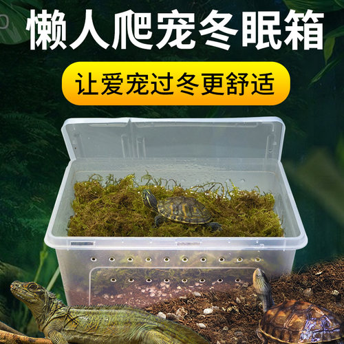 爬虫饲养盒乌龟冬眠箱寄居蟹守宫蜘蛛蝎子角蛙蜥蜴饲宠物箱乌龟缸