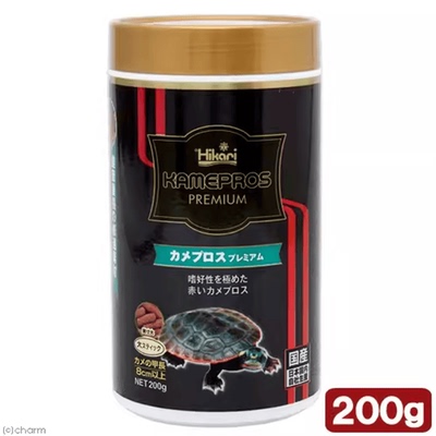 黄缘闭壳龟龟粮缘友之家黄缘龟粮