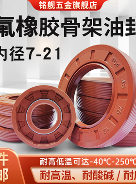 氟胶骨架油封TG4外螺纹内径7~21耐高温耐腐蚀耐磨TC骨架油封水封