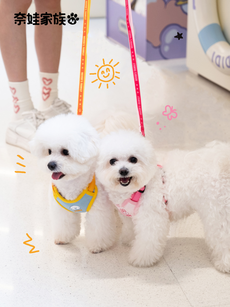 [所有女孩]涅瓦家庭宠物皮带狗散步皮带胸和背狗皮带