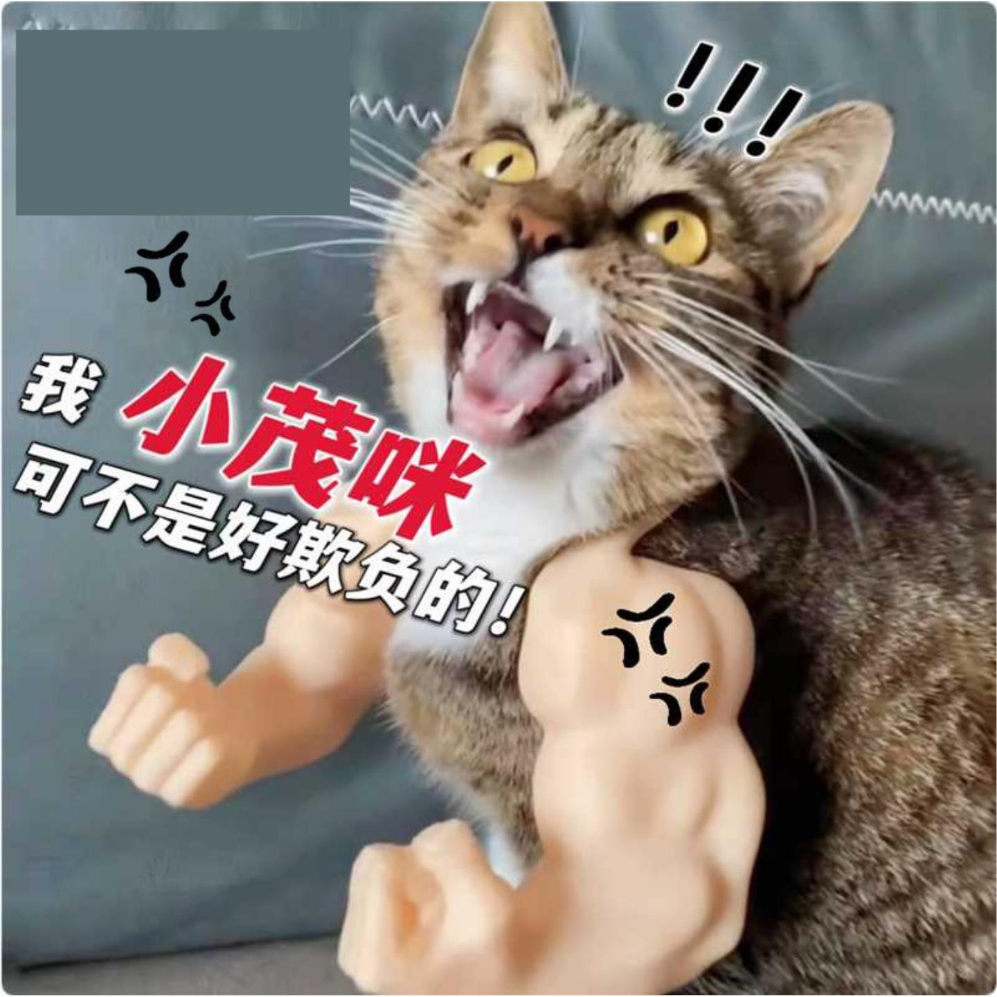 猫咪肌肉手臂拳击挂脖狗拳头绿巨人洛克COS恶搞创意网红整蛊玩具